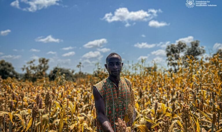 Transforming Nigerian Agriculture Through Sustainable Farming