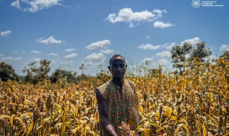 Transforming Nigerian Agriculture Through Sustainable Farming