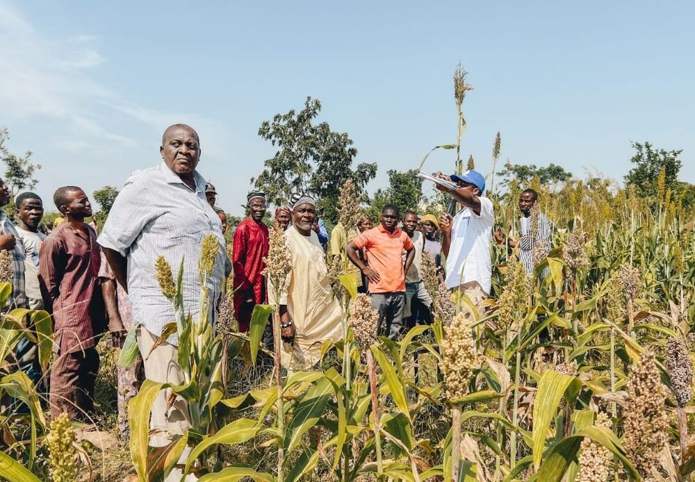 FSSS in Benue: A Landmark Year 2024 for Smallholder Farmers