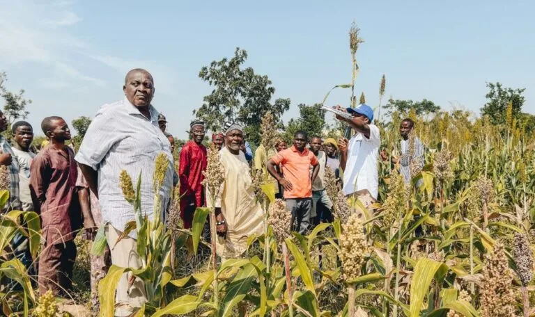 FSSS in Benue: A Landmark Year 2024 for Smallholder Farmers