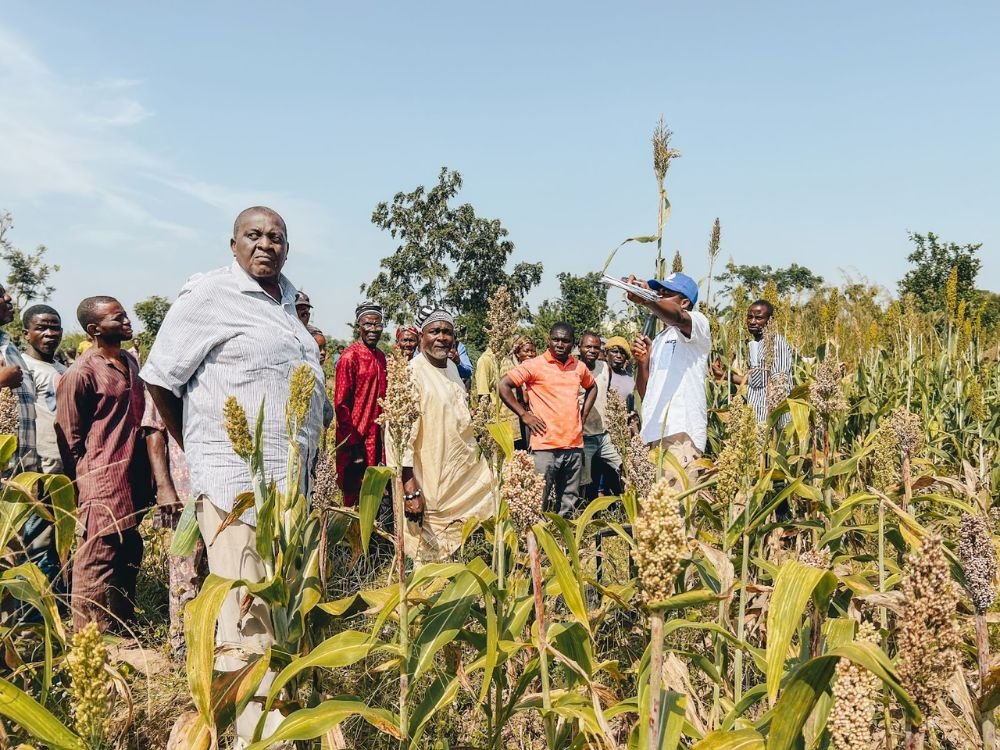 FSSS in Benue: A Landmark Year 2024 for Smallholder Farmers