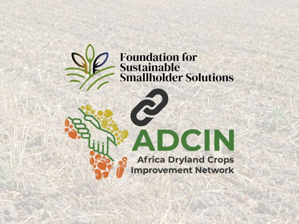Foundation for Sustainable Smallholder Solutions Joins the Africa Dryland Crops Improvement Network (ADCIN)