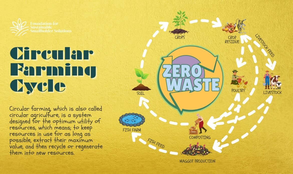An image explaining the circular farming cycle at Adebola's farm.