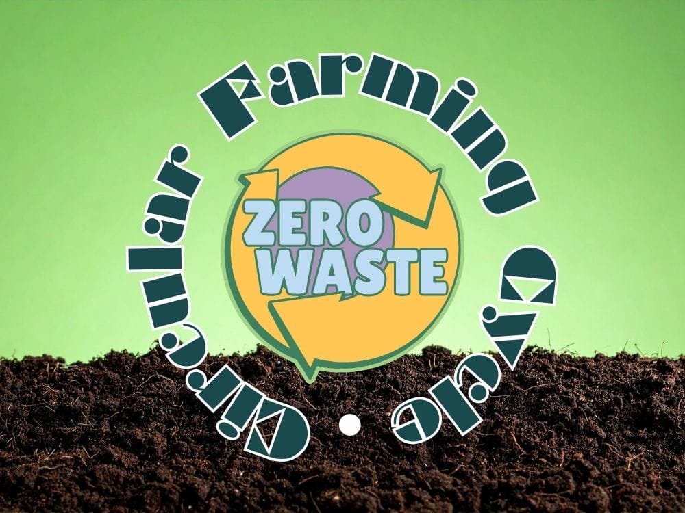 From Waste to Resource Closing the Loop with Circular Farming