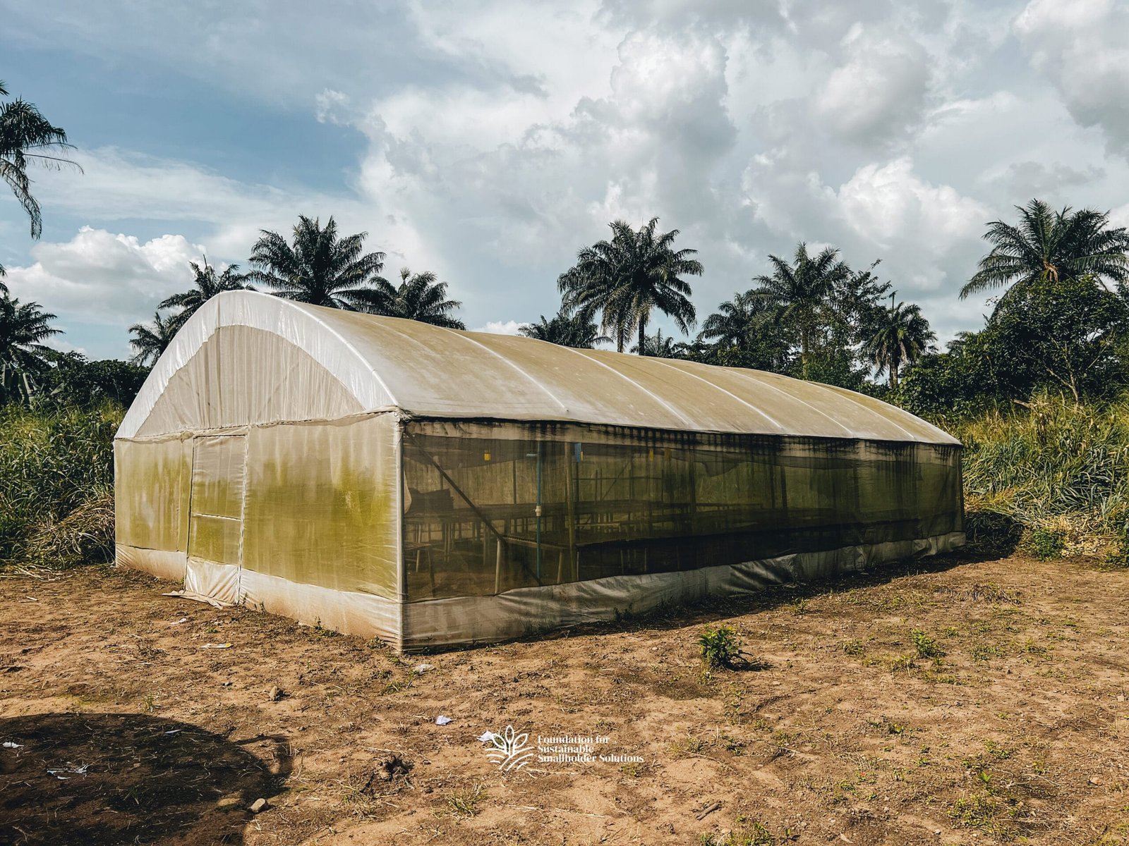 The greenhouse in the Farmers' Hub premises