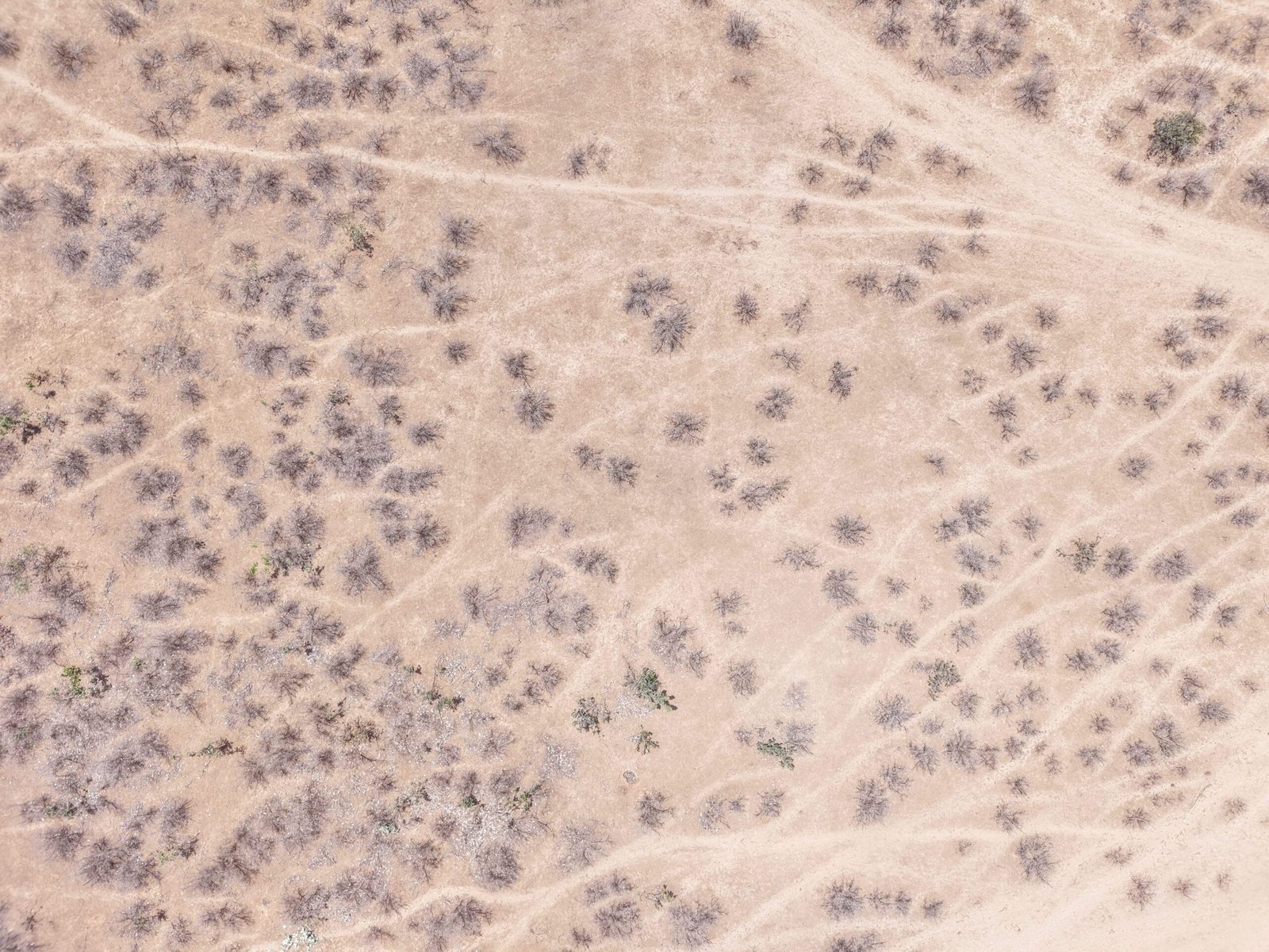 DJI_20260514153507_0074_D
