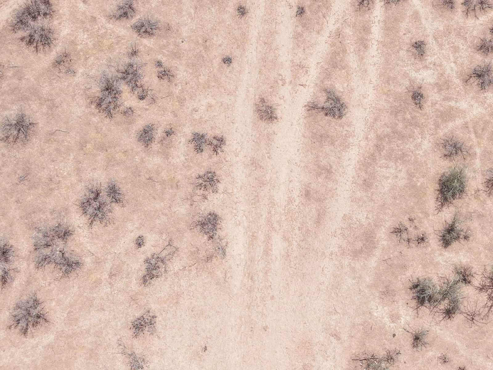 DJI_20260514153851_0080_D