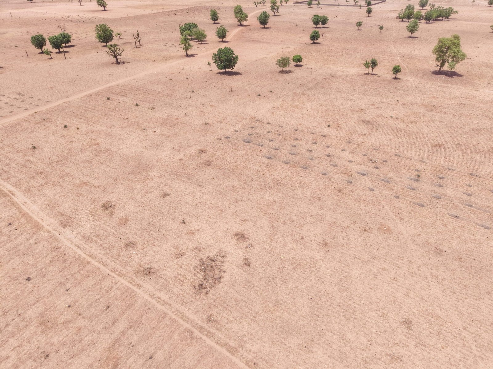 DJI_20260514170520_0086_D
