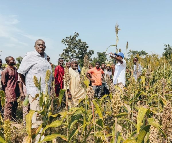 FSSS in Benue: A Landmark Year 2024 for Smallholder Farmers